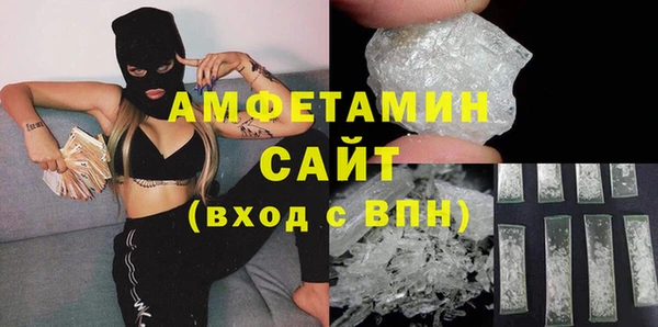 индика Вязьма